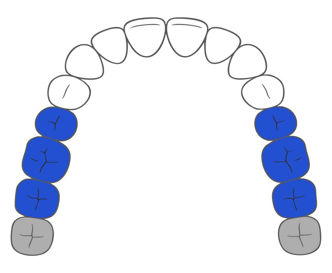 diagram of teeth for small brush heads