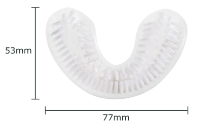 measurements for adult regular brush heads