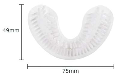 measurements for adult regular brush heads