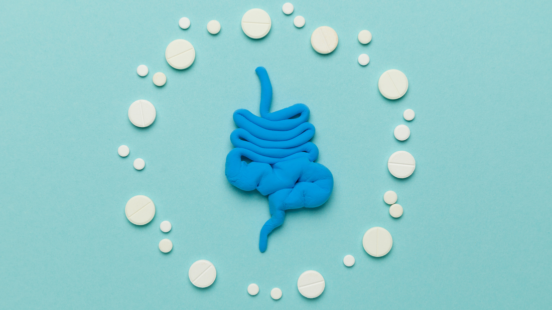 Exploring the World of Oral Probiotics: Do They Work?