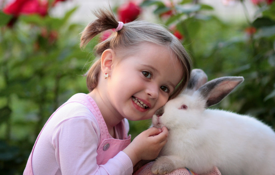 Little girl holding a white bunny rabbit, for AutoBrush