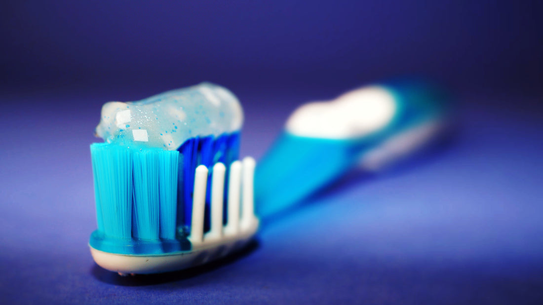 Blue and white bristled toothbrush with toothpaste on, for AutoBrush