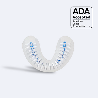 autobrush®: Brush Head (2025)