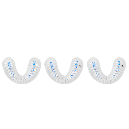 autobrush®: Brush Head (2025)