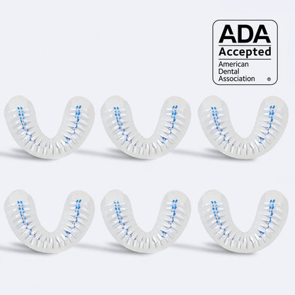 autobrush®: Brush Head (2025)