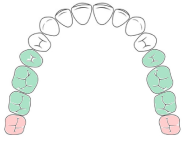 diagram of teeth for small brush heads