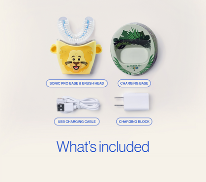 Electric toothbrush components including base, brush head, charging cable, and block on a light gray background. PDP context and explanatory images.